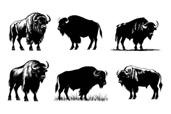 Animal Images with White Background: Clean, Versatile Visuals for Everyday Design