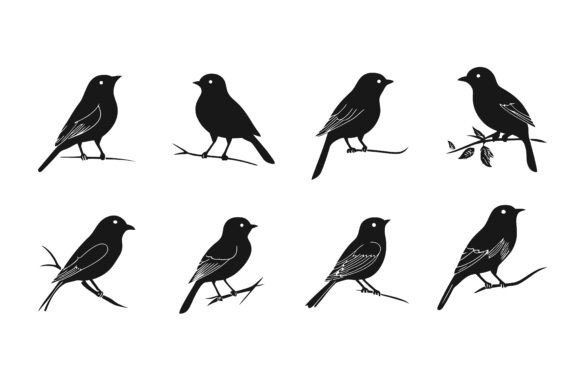 Set of Silhouettes of Bird: Versatile AI EPS Illustrations