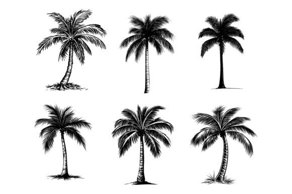 The Rise of Purpose-Built Vector Assets: What Makes the Black Coconut Trees Icon Collection a Meaningful Addition to Your Creative Toolkit