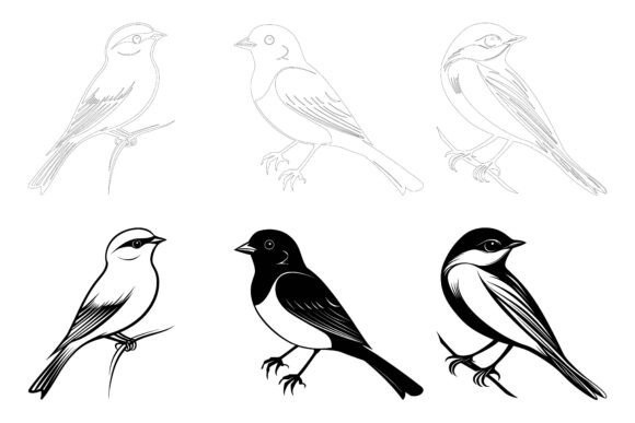 Tree Branch Bird Images for Creative Projects